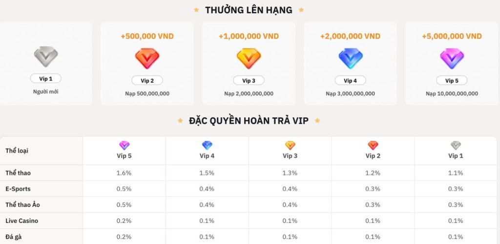 Đặc quyền thăng hạng VIP tại Nhà Cái CO88
