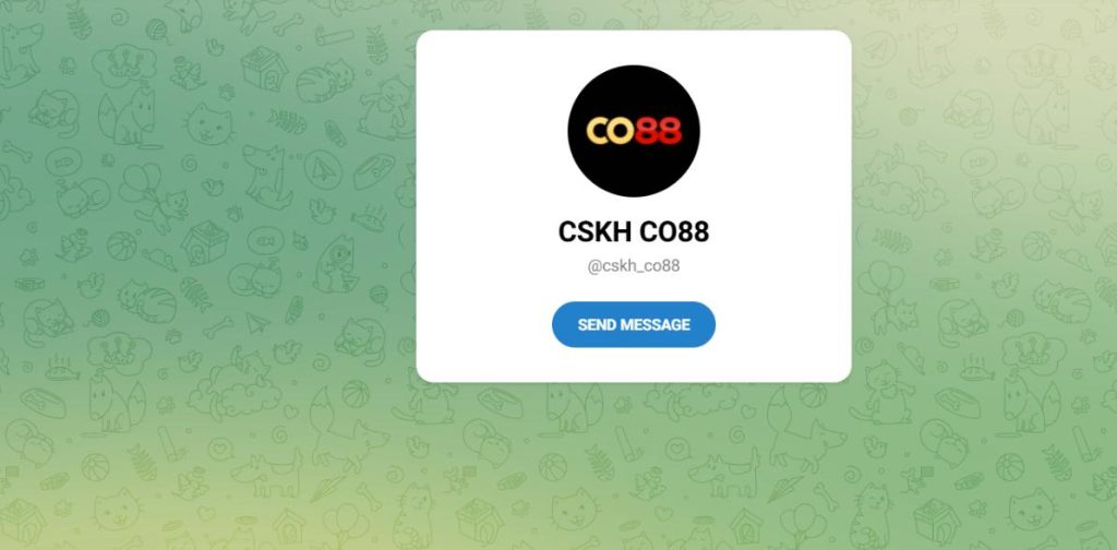 Cần Hỗ Trợ Thêm? Liên Hệ CO88 24/7